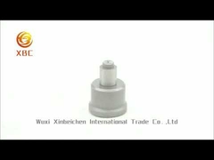 Standard Size F833 Injection Pump Delivery Valve