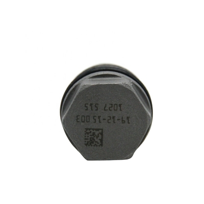 燃料の柵圧力振幅制限器のディーゼル注入器の安全弁1110010027